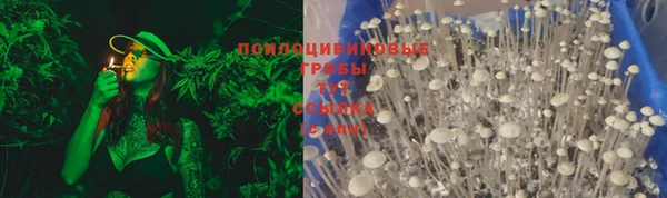 ГАЛЛЮЦИНОГЕННЫЕ ГРИБЫ Алексеевка