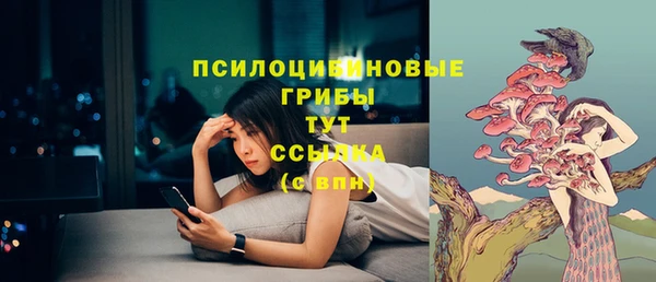 бошки Алзамай