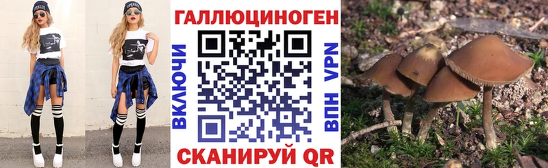 Галлюциногенные грибы мицелий  цена наркотик  гидра ONION  Пустошка 